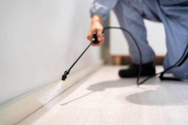 Licensed Ant Control service in University of Virginia, VA - Show Me Pest Control