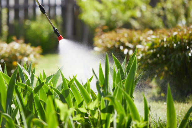 24/7 Emergency Ant Control experts in University of Virginia, VA