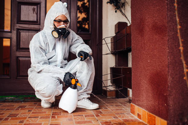 Reliable Ant Control contractor in University of Virginia, VA by Show Me Pest Control