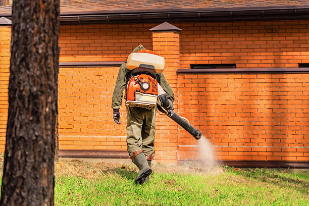 Top rated local Ant Control specialists in University of Virginia, VA